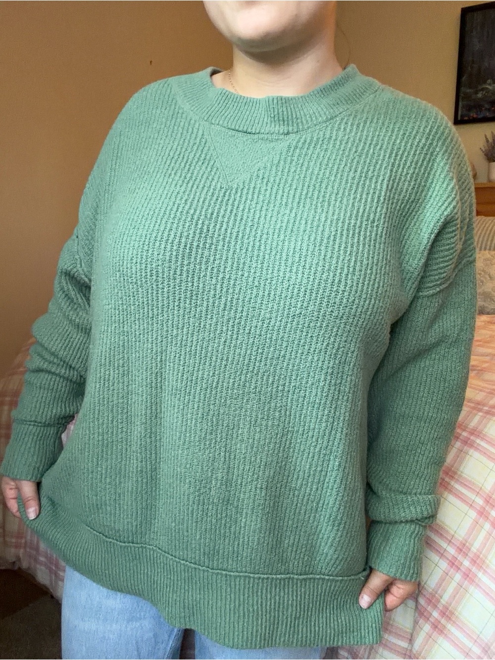 Aerie Oversized Green Sweater